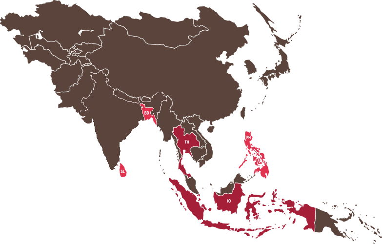 Web-Region-Map-Asia-Brown