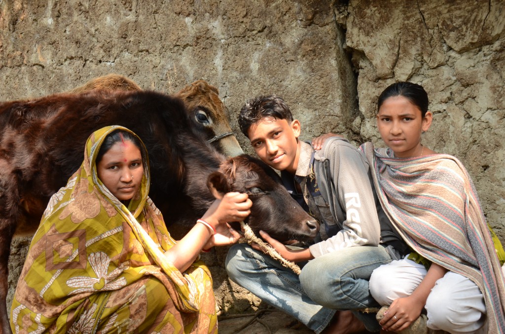 Shimul Das sits in front of his home with his mother and his sister and their two brown cows