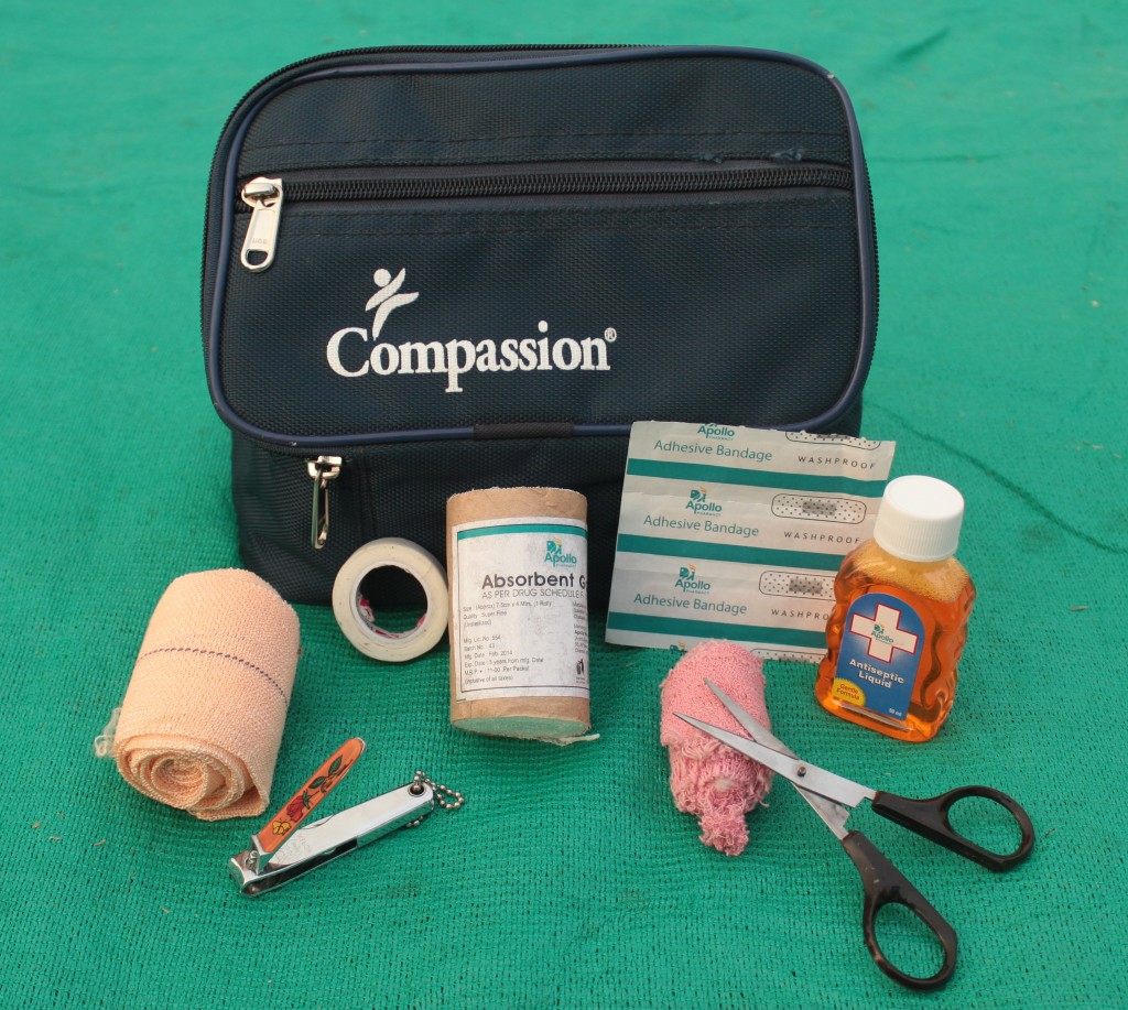 Little Doctors: Championing Good Health