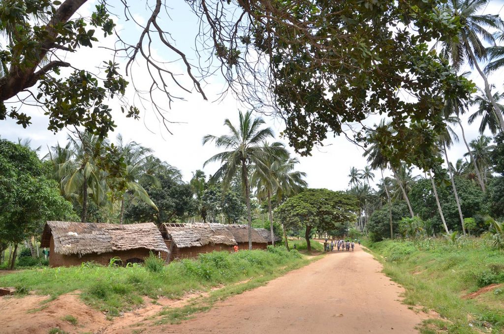 roads_and_huts