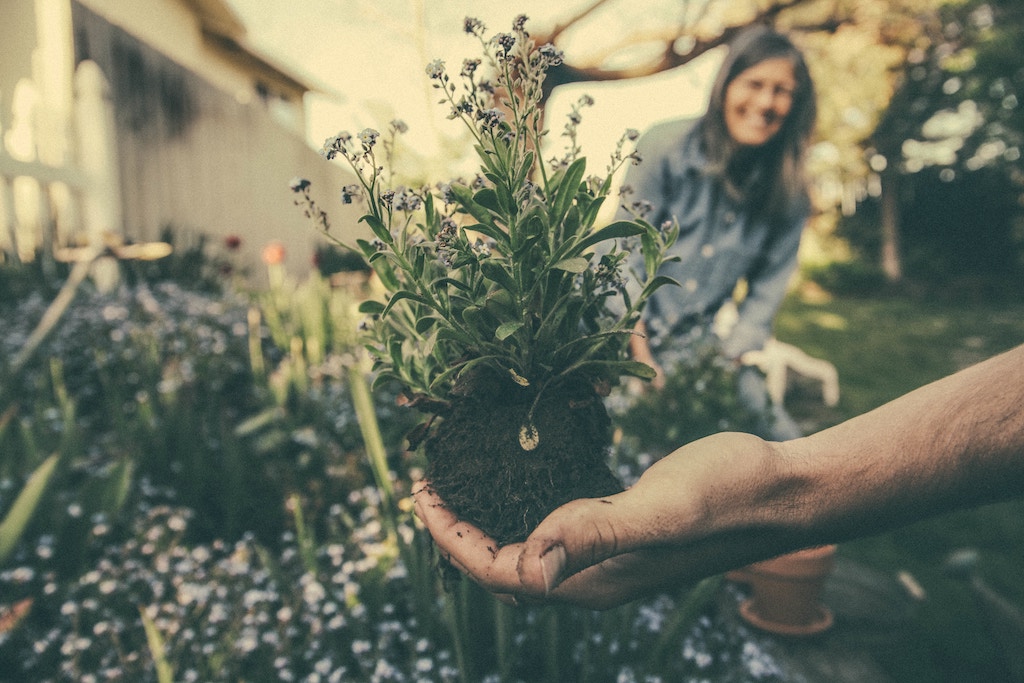 A person holds a plant, a woman looks on in the background.