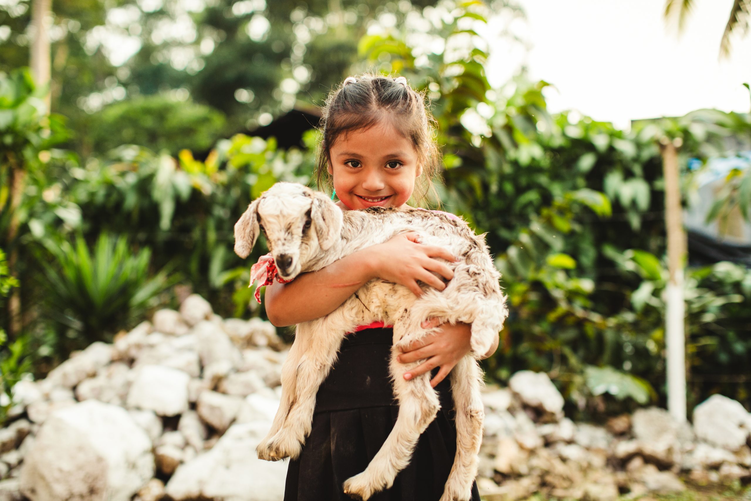 A girl hugs a small goat.